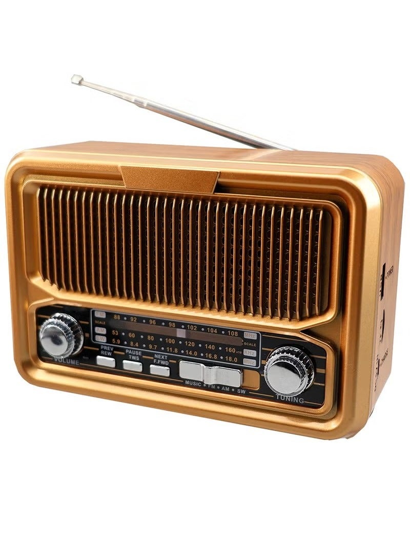 Denx HD Radio, FM/AM/SW, USB/TF/BT Player, Rechargeable Battery DX2445  - Image 1