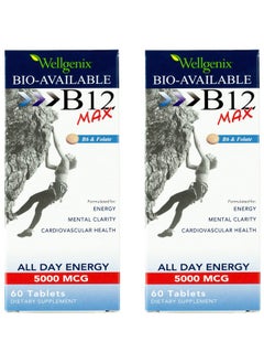 Wellgenix Bio-Available Sublingual B12 Max - Formulated for High Absorption - Nutritional Multivitamin B12, B6, Folate - Fast Dissolve (60 Ct) 2 Pack