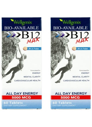 Wellgenix Bio-Available Sublingual B12 Max - Formulated for High Absorption - Nutritional Multivitamin B12, B6, Folate - Fast Dissolve (60 Ct) 2 Pack - pzsku/Z49E04D0041B82E78DED8Z/45/_/1735907974/c48206c1-ef65-4803-b489-52cde0424e56
