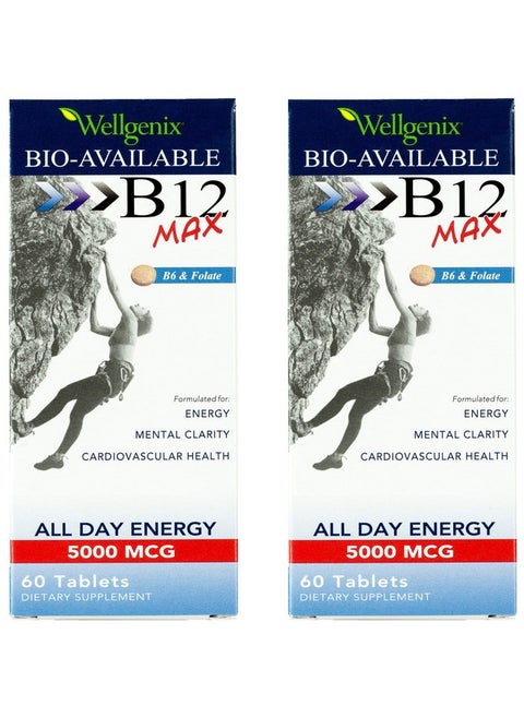 Wellgenix Bio-Available Sublingual B12 Max - Formulated for High Absorption - Nutritional Multivitamin B12, B6, Folate - Fast Dissolve (60 Ct) 2 Pack