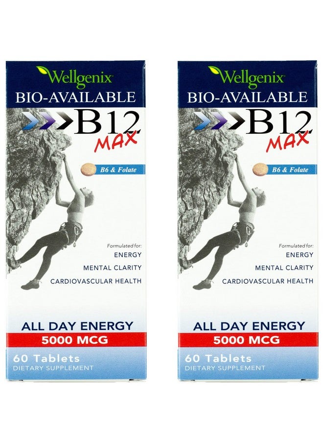 wellgenix - Wellgenix Bio-Available Sublingual B12 Max - Formulated for High Absorption - Nutritional Multivitamin B12, B6, Folate - Fast Dissolve (60 Ct) 2 Pack - Image 1