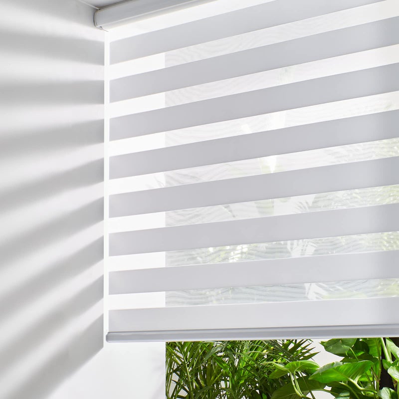Persilux Cordless Zebra Blinds for Windows FreeStop Roller Windows Shades 31 W X 64 H White Dual Layer Light Control for Day and Night Light Filtering Sheer Shades for Home Easy to Install
