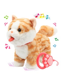 Orange Cat