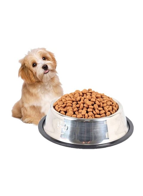 NeoStyle Stainless Steel Dog Bowl