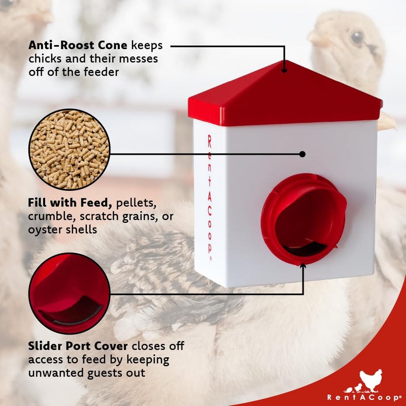 RentACoop 2.5 Pound Chick2Chicken Medium Port Feeder and 64 Ounce (2 Liter) Drinker Set for Chicks, Chickens, Quail, and Other Small Birds - Image 4