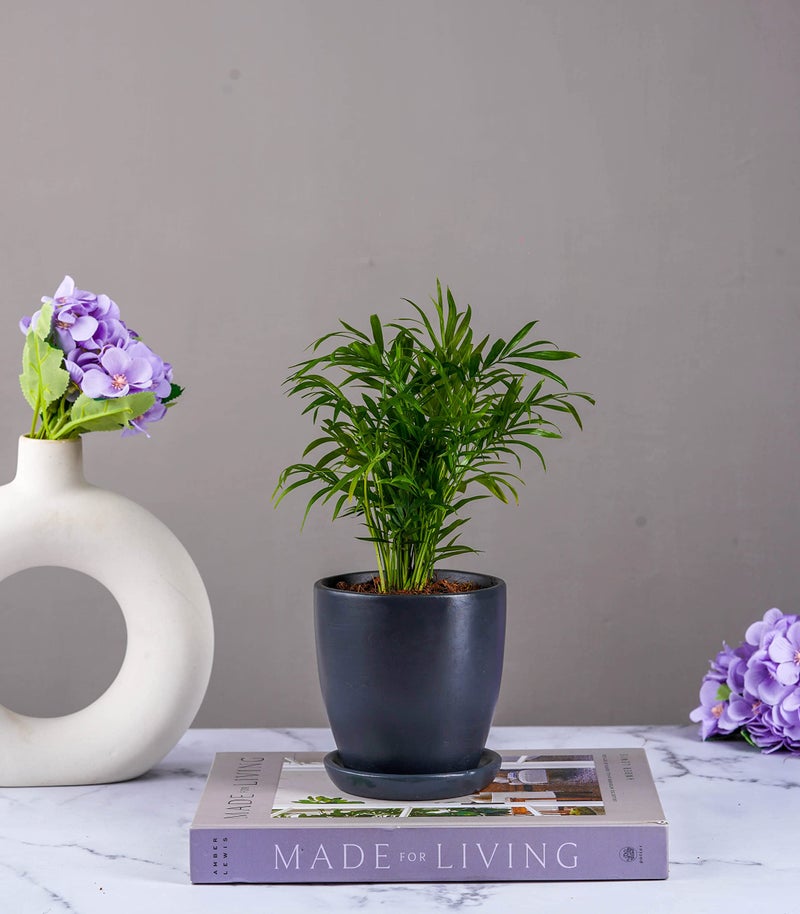 Nurturing Green® Set of 2 Contemporary Charcoal Grey Ceramic Pots (Plants Not Included) for Home, Indoor Décor & Gifting (Size: 4.25 Wide | Comes with Bottom Plates) - Image 4