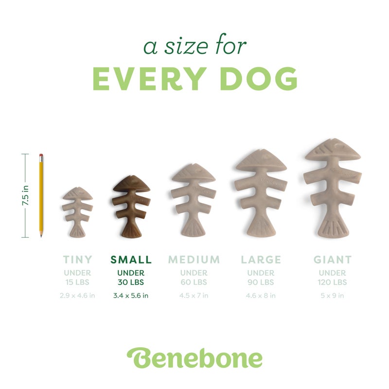 Benebone Fishbone Durable Dog Chew Toy for Aggressive Chewers, Real Fish, Made in USA, Small - Image 5
