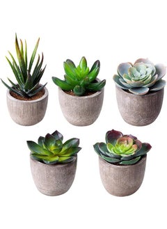 Garlo Artificial Succulent Plants, Assorted Decorative Faux Succulent Potted Fake Cactus Cacti Plants with Gray Pots, Set of 5  - Image 1