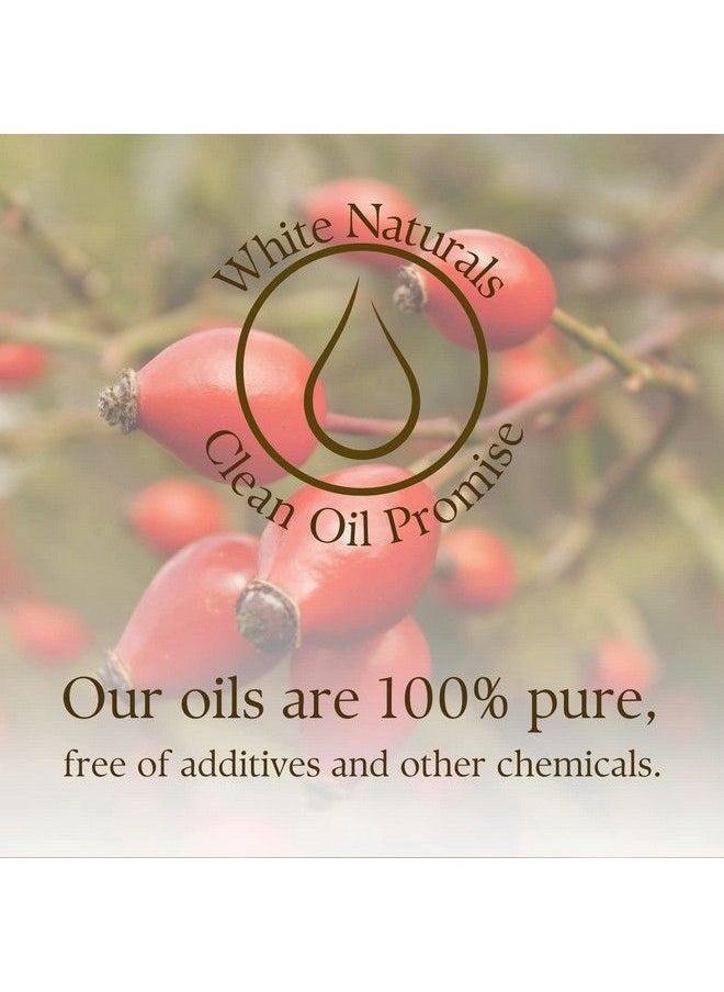 White Naturals - Rosehip Oil Cold Pressed Unrefined 100% Pure Rose Hip Oil Natural Moisturizer For Face Hair Skin And Nails 4 Oz - Image 1