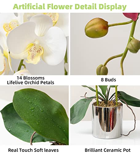 CXGS Artificial Orchid Flowers White Faux Orchids with Ceramic Vase Vivid Fake Phalaenopsis Flower Arrangement Gorgeous Artificial Plants for Office Desk Wedding Party Exhibition Center & Home Table Decor - Image 2