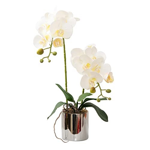 CXGS Artificial Orchid Flowers White Faux Orchids with Ceramic Vase Vivid Fake Phalaenopsis Flower Arrangement Gorgeous Artificial Plants for Office Desk Wedding Party Exhibition Center & Home Table Decor - Image 1