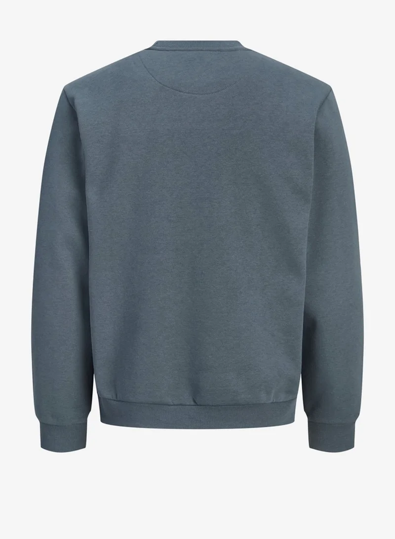 JACK & JONES  Solid Crew Neck Regular Fit Sweatshirt for Men | Best Price UAE