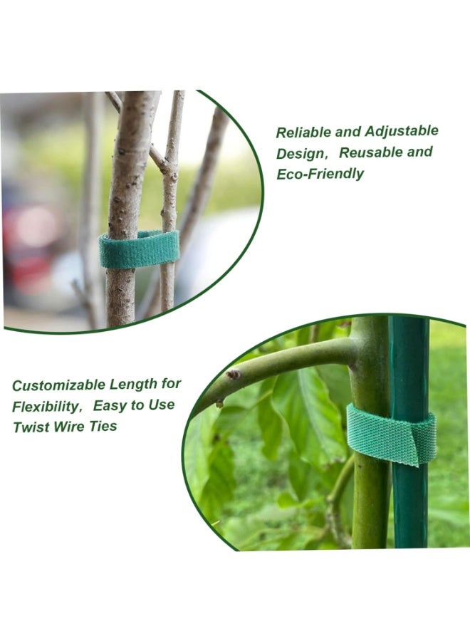 PTTIMFFM 6-Pack Adjustable Reusable Plant Ties, Weather-Resistant Hook and Loop Garden Straps for Plant Support, Cable & Tool Organization (12mm x 10m, 6 Rolls) - Image 5