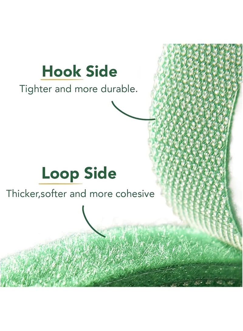 PTTIMFFM 6-Pack Adjustable Reusable Plant Ties, Weather-Resistant Hook and Loop Garden Straps for Plant Support, Cable & Tool Organization (12mm x 10m, 6 Rolls) - Image 4
