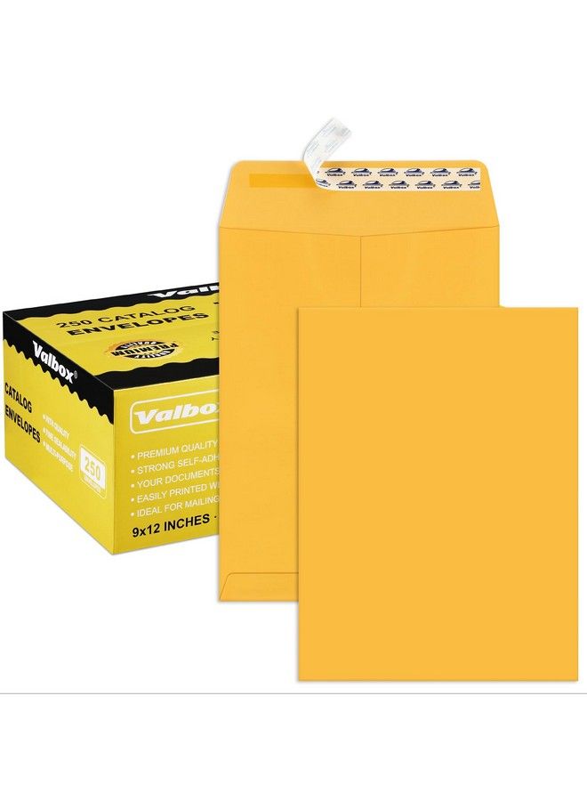 ValBox 9X12 Self Seal Security Catalog Envelopes 250 Packs Brown Kraft Envelopes With Peel And Seal Flap For Mailing Organizing And Storage - Image 2