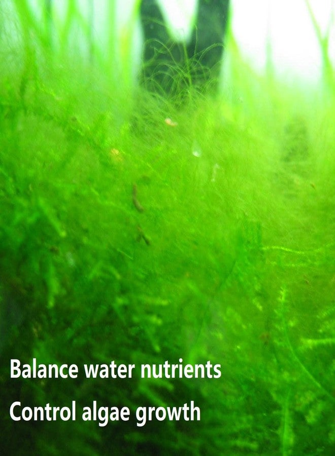 IOAOI PuriResin Aquarium Filter Media, Organic Filtration Resin, for Freshwater and Saltwater Fish Tank, Removes Driftwood Tannins, 100 ml, 5 Packs - Image 5