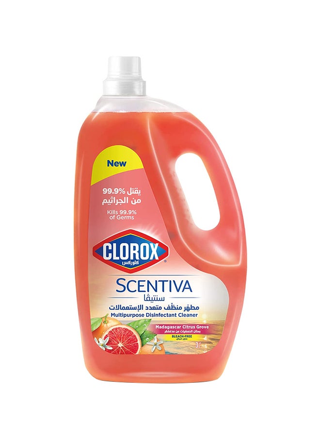 Scentiva Multipurpose Disinfectant Floor Cleaner Madagascar Citrus Grove - pzsku/Z49EC41AF2EAB62FB1987Z/45/_/1705321732/9788fa50-a0af-4ed8-81a7-17ec9a9b8dce