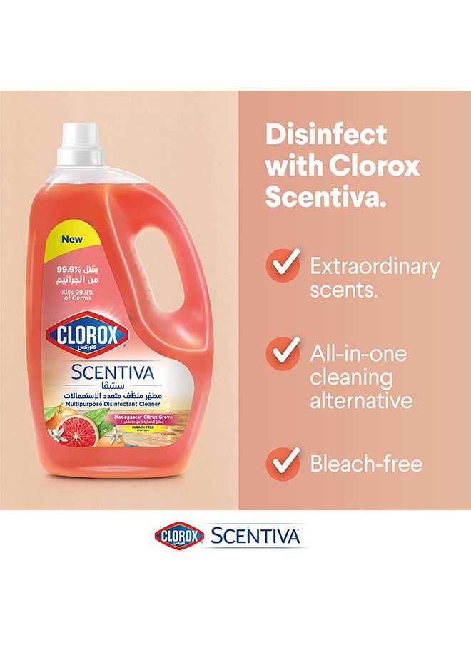 Scentiva Multipurpose Disinfectant Floor Cleaner Madagascar Citrus Grove - pzsku/Z49EC41AF2EAB62FB1987Z/45/_/1705321733/7faffbc9-1fe2-4e99-b6e9-795921745f23