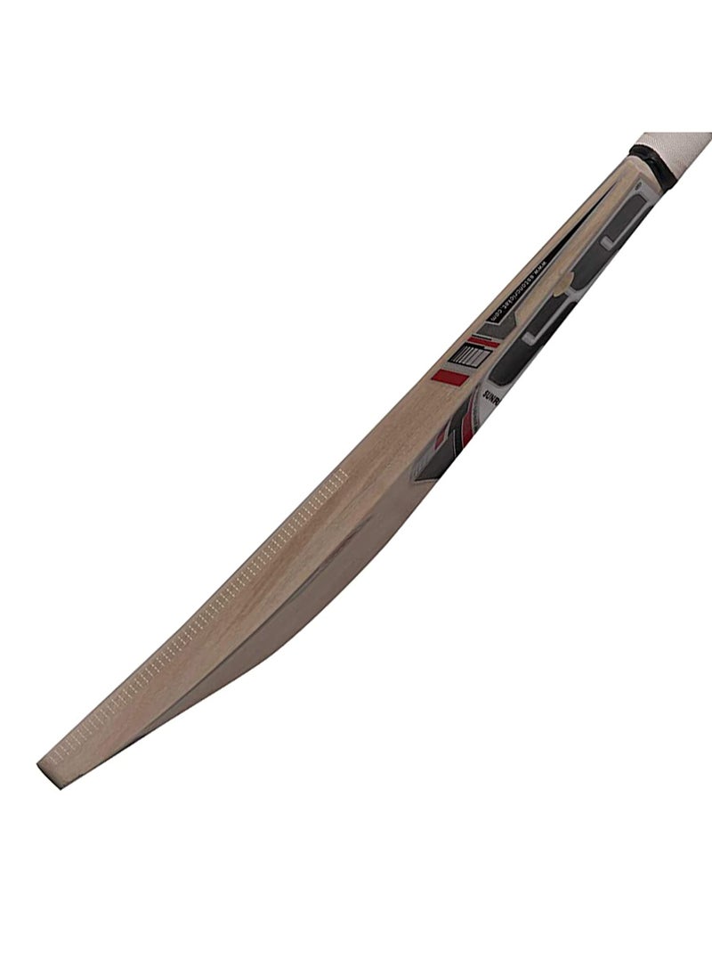 SS Kashmir-Willow 281 Cricket Bat  - Image 5