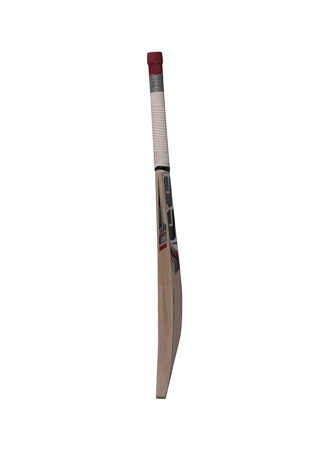 SS Kashmir-Willow 281 Cricket Bat  - Image 4