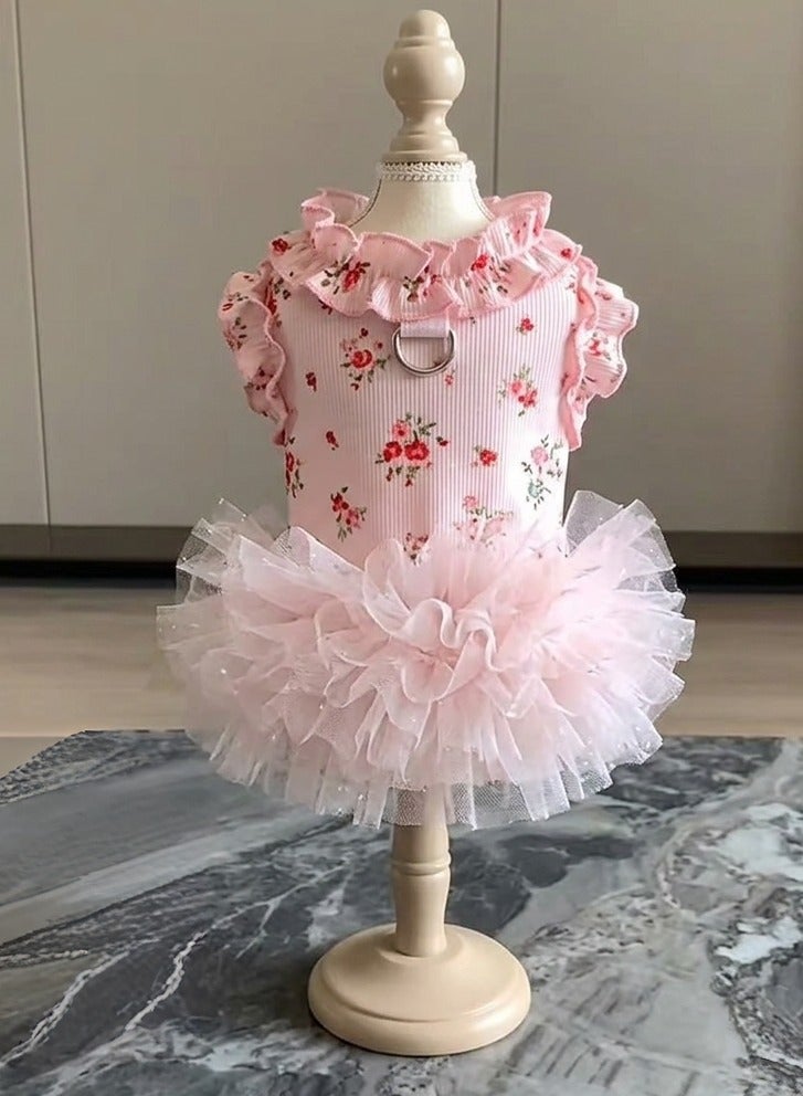 A.M Summer cat dress, small dog, golden shaded Ragdoll cat, floral print, thin mesh tulle ballet dress - Image 3