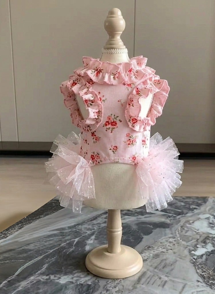 A.M Summer cat dress, small dog, golden shaded Ragdoll cat, floral print, thin mesh tulle ballet dress - Image 4