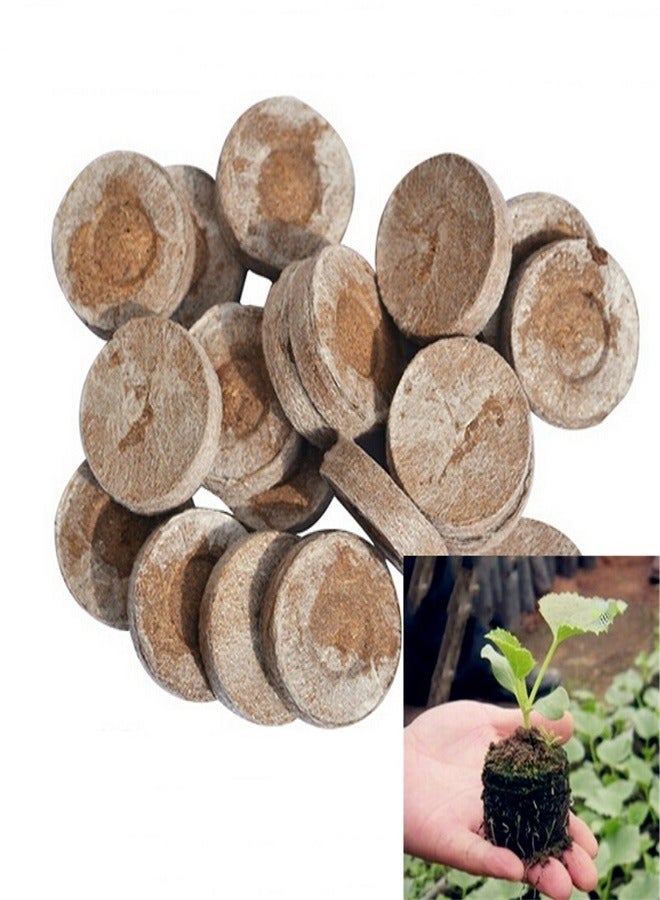 Generic 5 Pack Seedling Blocks Nutrient Soil Compressed Non-woven Coconut Coir Seed Starter Pots Seedling Trays for Home Garden Seedling  - Image 4