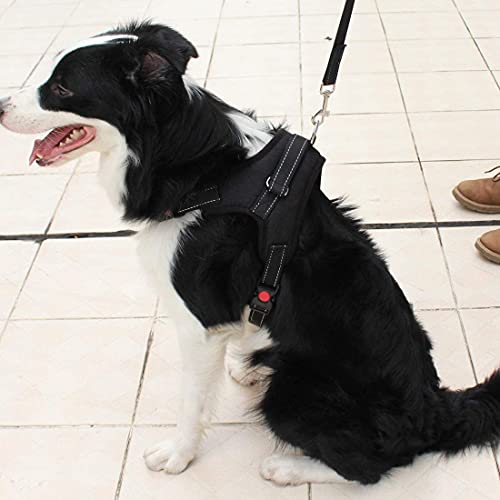 WapaW Cats Dog Harness No Pull With Handle, Reflective Adjustable Vest Harness For Puppy Dog & Cats [Small Dogs] (Extra Small) - Black - Image 3
