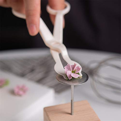 YWSHF 6PCS Cake Flower Nail and Flower Lifters Set, Stainless Steel Cake Cupcake Decor Baking Tools for Icing Flowers Decoration (4 Sizes) - Image 2