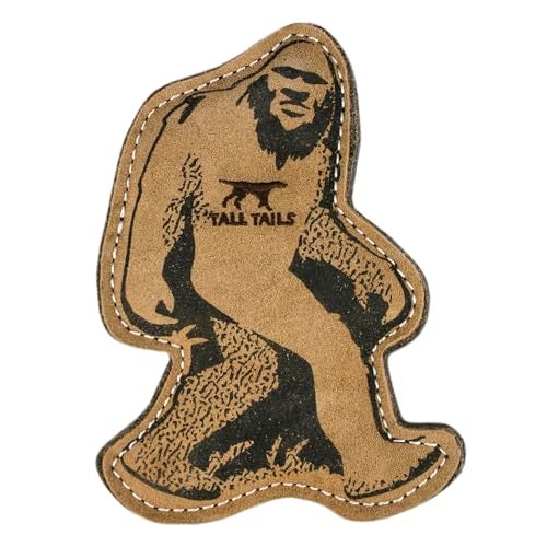 Tall Tails Big Jr Natural Leather Fetch Toy Gift for Small Medium Large Dogs - Image 1