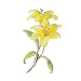 Buysk 1 Piece Sew on Embroidered Applique Floral Patches Beautiful Flower Patches for Sew on Clothes Jackets Hat DIY Decoration Yellow Orchid - Image 2