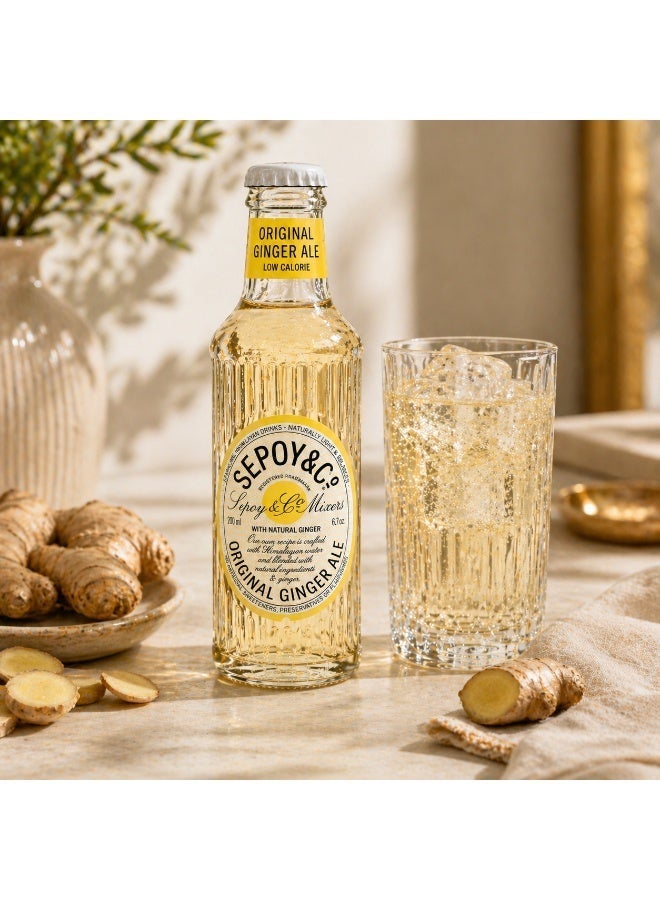 Sepoy & Co Original Ginger Ale Low Calorie Soft Drink 200 ml Pack of 4 - Image 3