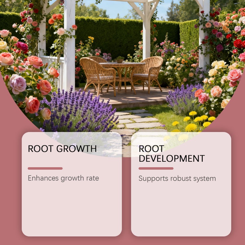 MOONSPRY Palnt Rooting Powder Super Z1000,Increases root growth rate,Improves soil structure - Image 4
