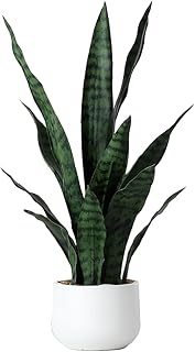 Beebel Artificial Snake Plant 22 Inch Fake Sansevieria Fake Agave Potted Plants Plastic Greenery for Home Garden Office - Image 1