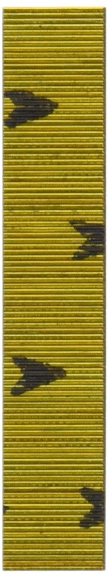 BOSTITCH PT-2312-3M 1/2-Inch 23-Gauge Headless Pin, 3,000-Pack - Image 4