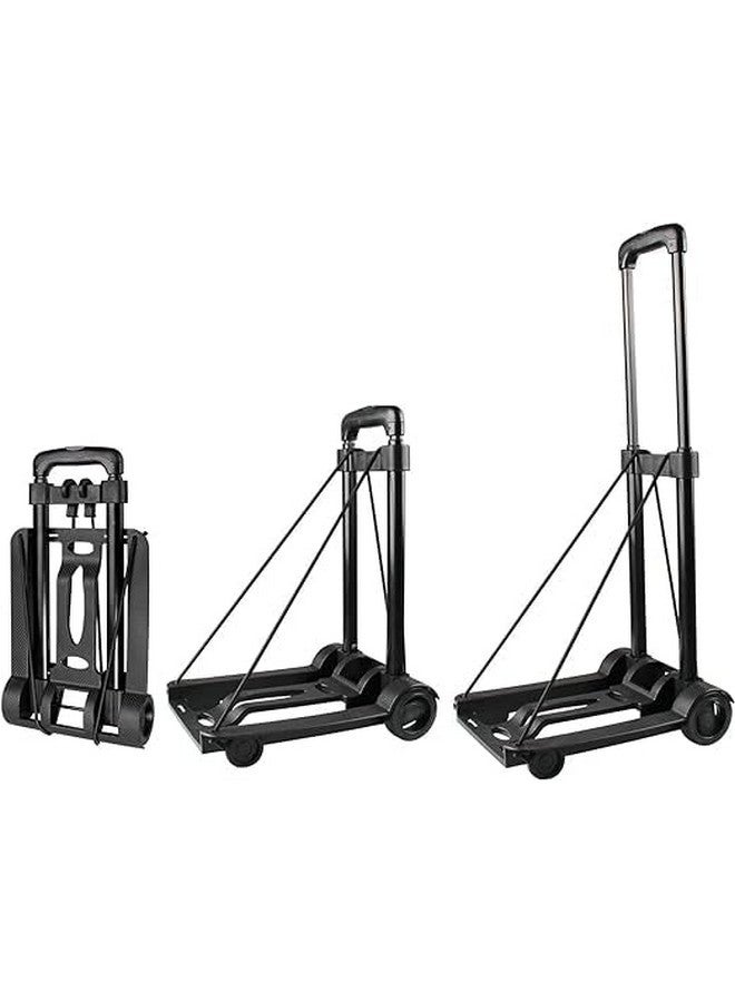 Tikitoro Teens Anti-Acne Gel Moisturizer with Aloe, Mangosteen, Papaya | Hydrates, Balances Sebum and Calms Irritation | No Parabens & Sulphates, All Skin Types (Age: 11+) (75ml x 1) - Image 2