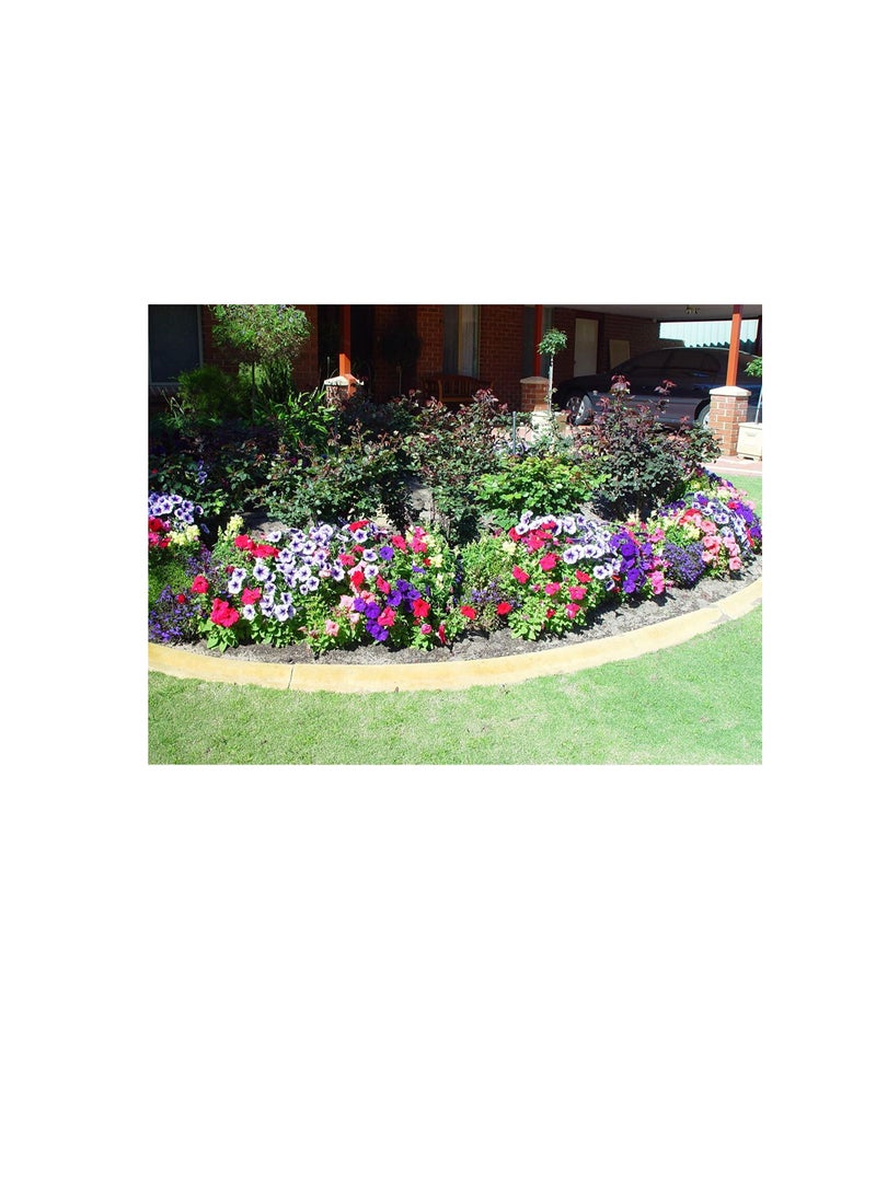 ساكسيس الأسمدة الشعبية NPK - Image 3