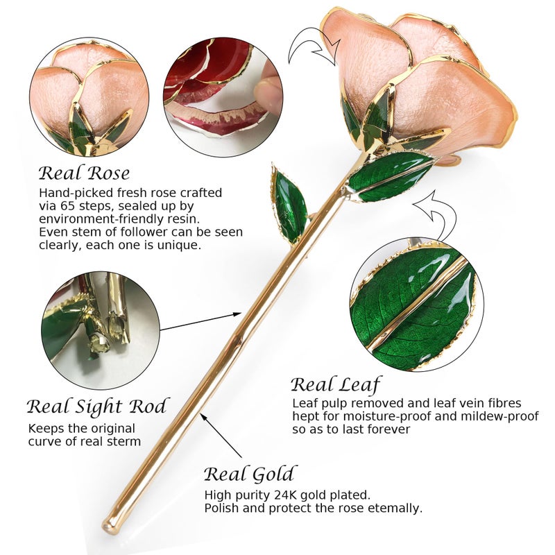 Sinvitron Gold Dipped Rose 24K Real Rose  Long Stem Gold Plated Rose with Stand  Romantic Gift for Her Birthday Gifts for Her  24K Golden Rose for Anniversary Valentines Day Mothers Day (Pink) - Image 2