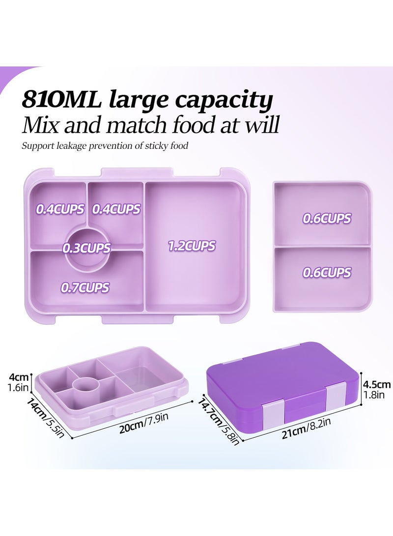 general 810Ml large-capacity children's lunch box, double-buckle PP grid bento box, portable lunch box, microwave heating and preservation (purple) - Image 2