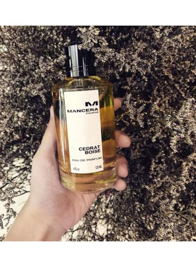 Mancera Cedrat Boise EDP 120ml - Image 5