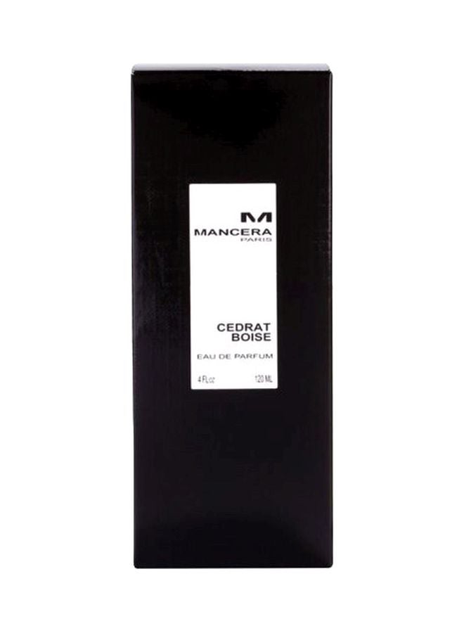 Mancera Cedrat Boise EDP 120ml - Image 3