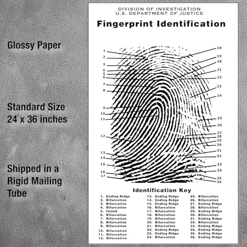 Crime Scene Fingerprint Chart, Poster Size 24" by 36" - Image 3
