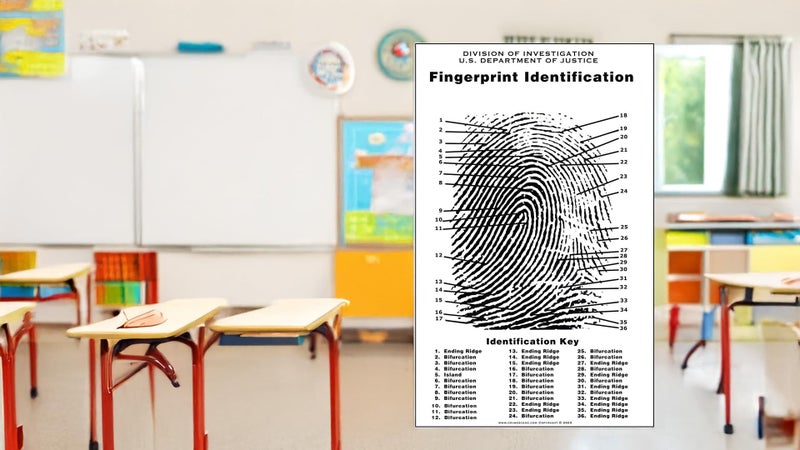 Crime Scene Fingerprint Chart, Poster Size 24" by 36" - Image 5