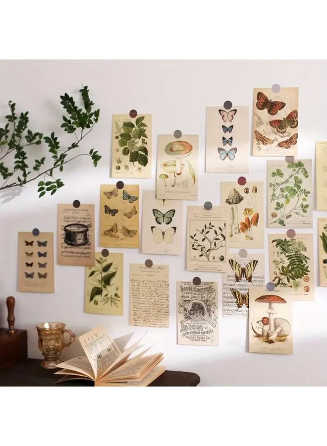 Vintage Plant Postcards Set Of 30 Educational Biology Series Butterfly And Mushroom Art Cards For Home Office Decor - Image 1