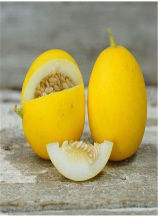 Vine Peach Melon Seeds (40 Seed Pack) - pzsku/Z4A050C144E3A54FE9975Z/45/_/1740894599/4aeb721c-535d-4dad-ac06-e117e65f6798