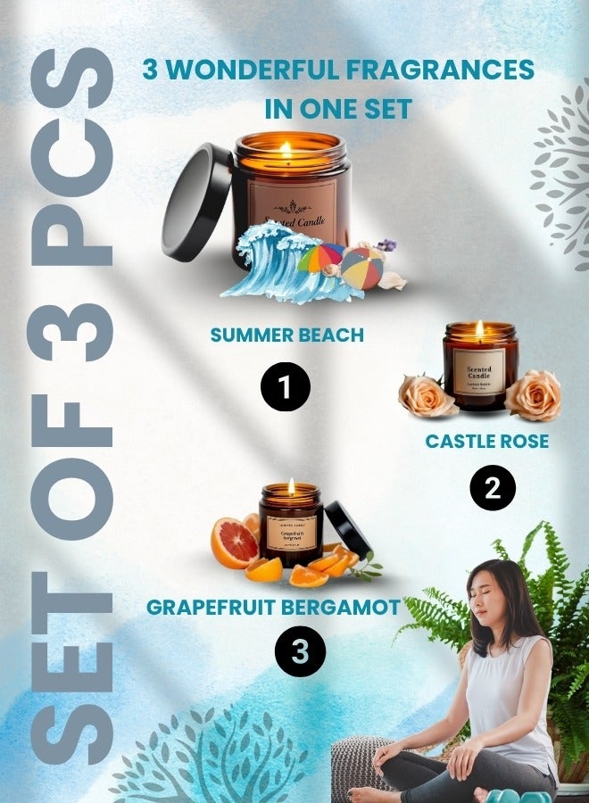 Lifenpure 3 Pcs Scented Jar Candles  Soy Wax for Aromatherapy Summer Beach Grapefruit Bergamot Castle Ross Fragrances - Image 2