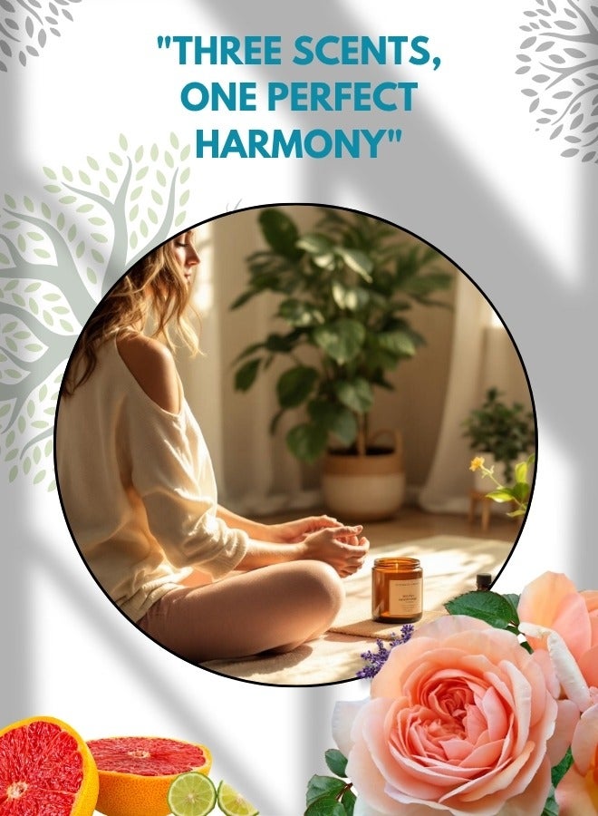 Lifenpure 3 Pcs Scented Jar Candles  Soy Wax for Aromatherapy Summer Beach Grapefruit Bergamot Castle Ross Fragrances - Image 3