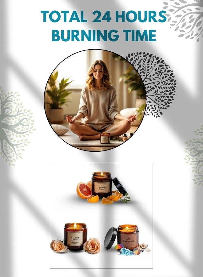 Lifenpure 3 Pcs Scented Jar Candles  Soy Wax for Aromatherapy Summer Beach Grapefruit Bergamot Castle Ross Fragrances - Image 5