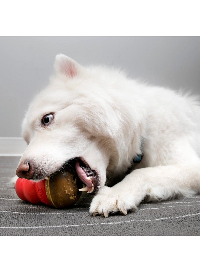 كونج ماراثون كونغ - مستلزمات الحيوانات الأليفة للتدريب واللعب - مكافآت صحية للكلاب من ألعاب كونغ للكلاب - للكلاب الكبيرة - بنكهة زبدة الفول السوداني - عبوة من قطعتين (4 قطع إجمالاً) - Image 2