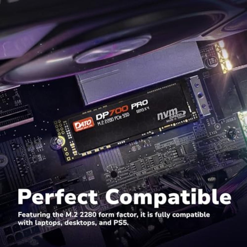 SSD PCIe Gen3x4 NVMe Internal Solid State Drive Up to 3300/3100 MB/s For Desktop and Laptop DP700Pro Series 2280 Form Factor High-Speed Gaming and Productivity - Image 5
